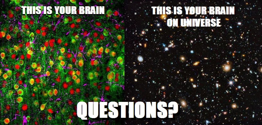 THIS IS YOUR BRAIN